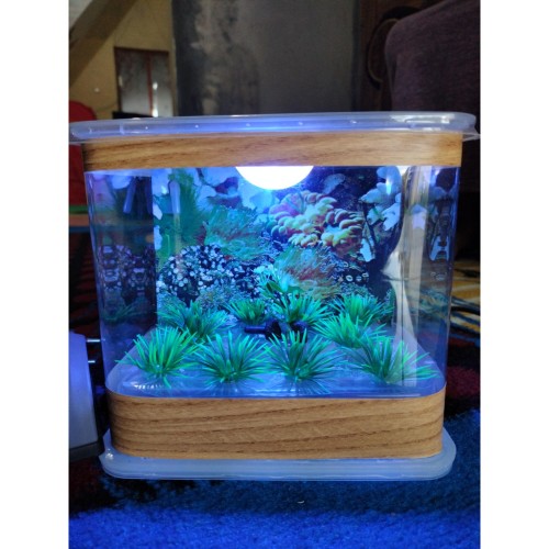 Detail Aquarium Mini Kotak Nomer 19