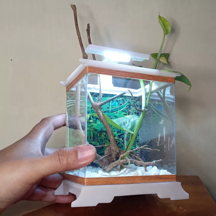 Detail Aquarium Mini Kotak Nomer 22