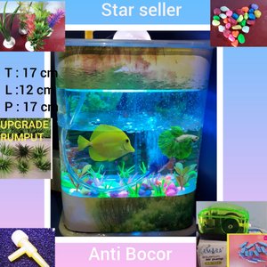 Detail Aquarium Mini Kotak Nomer 45