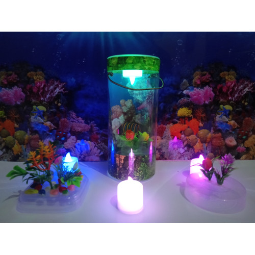 Detail Aquarium Mini Unik Nomer 57