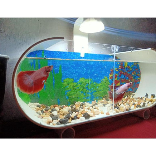 Detail Aquarium Mini Untuk Di Kamar Nomer 20