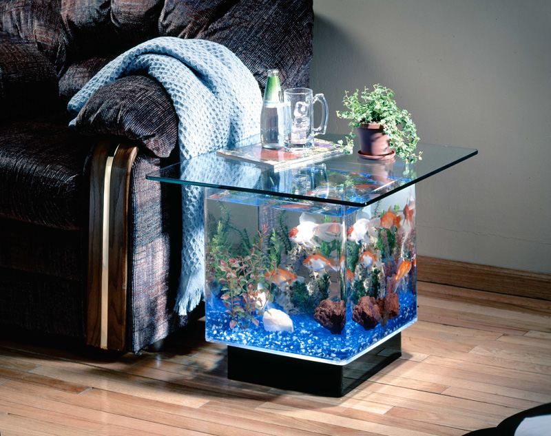 Detail Aquarium Mini Untuk Di Kamar Nomer 4