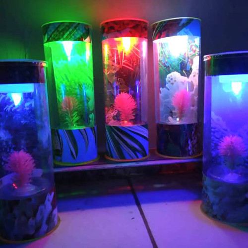 Detail Aquarium Mini Untuk Di Kamar Nomer 31