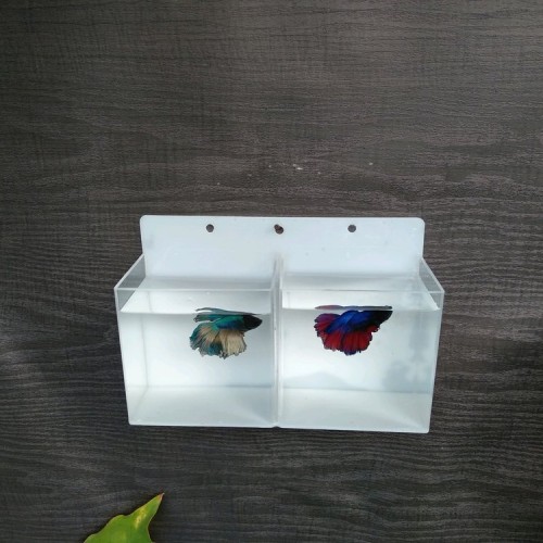 Detail Aquarium Mini Untuk Di Kamar Nomer 37