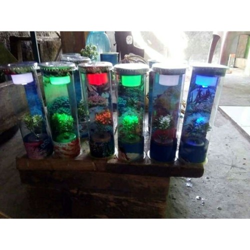 Detail Aquarium Mini Untuk Di Kamar Nomer 38