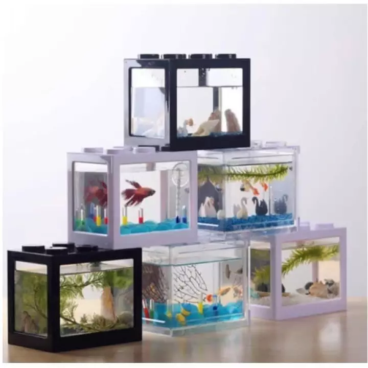 Detail Aquarium Mini Untuk Di Kamar Nomer 39