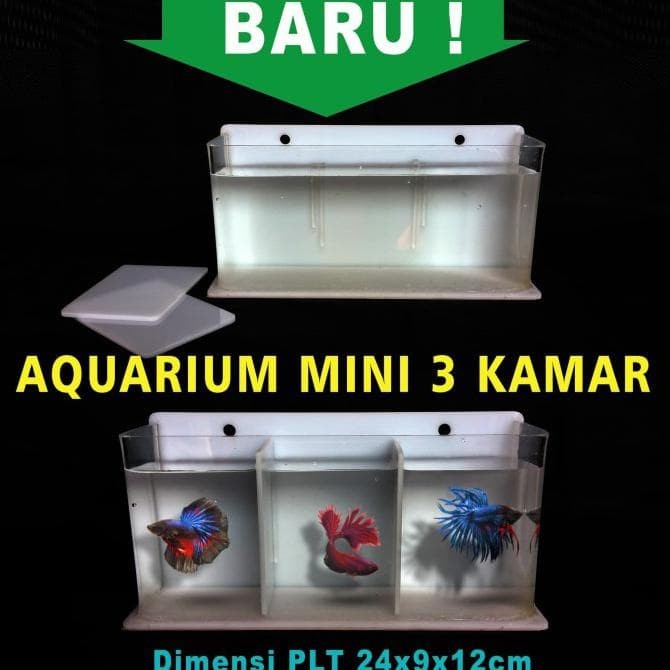 Detail Aquarium Mini Untuk Di Kamar Nomer 47