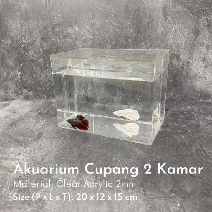 Detail Aquarium Mini Untuk Di Kamar Nomer 52