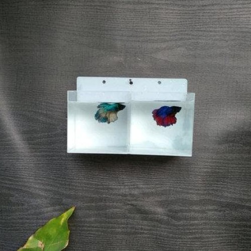 Detail Aquarium Mini Untuk Di Kamar Nomer 55