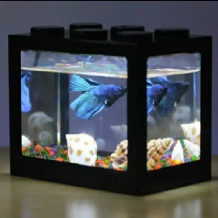 Detail Aquarium Mini Untuk Di Kamar Nomer 56