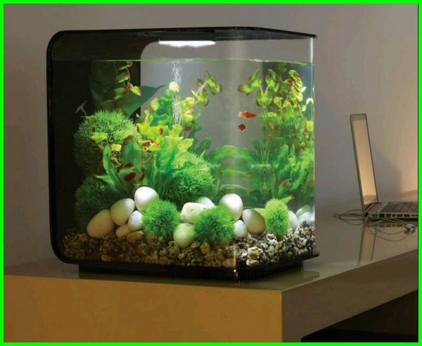 Detail Aquarium Mini Untuk Di Kamar Nomer 8