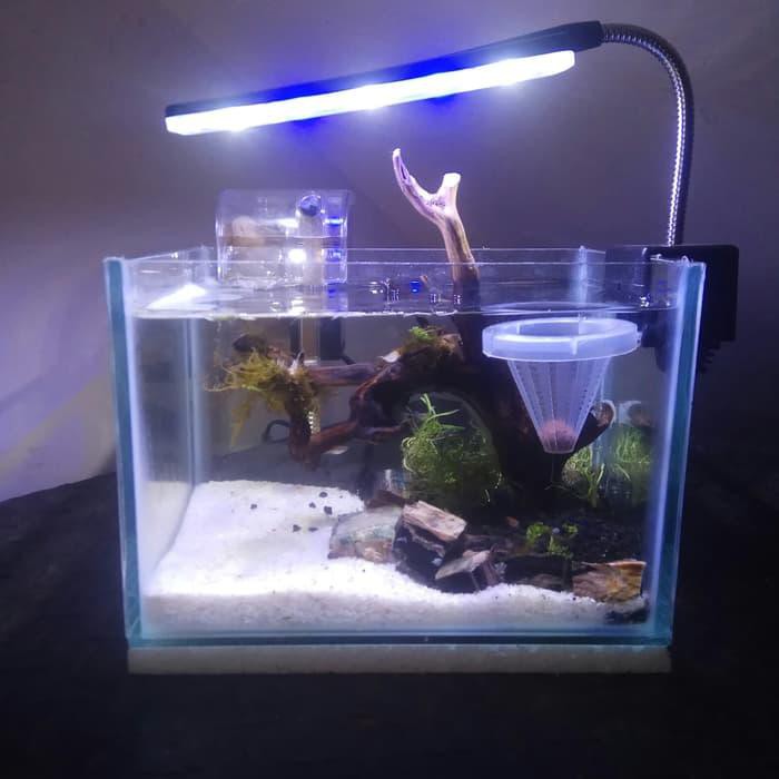 Detail Aquarium Mini Untuk Di Kamar Nomer 9