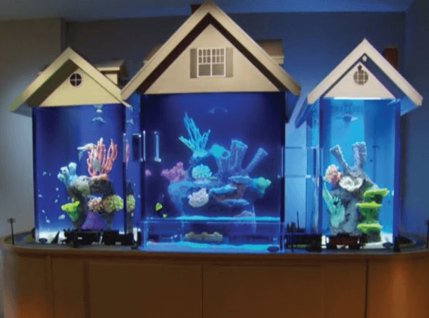 Detail Aquarium Model Rumah Nomer 29