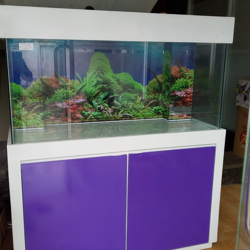 Detail Aquarium Modifikasi Nomer 52