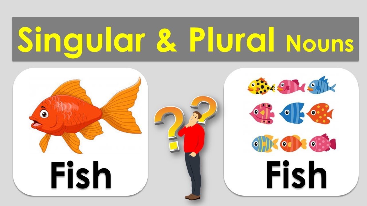 Detail Aquarium Plural Nomer 14