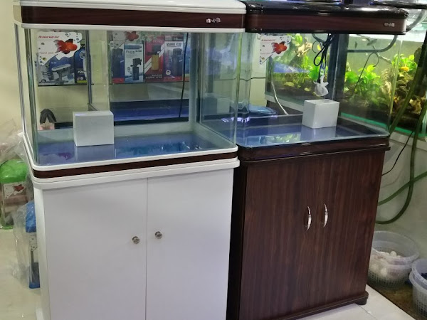 Detail Aquarium Putih Nomer 45