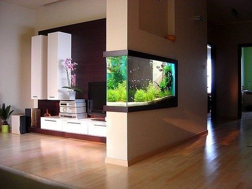 Aquarium Rumah Minimalis - KibrisPDR