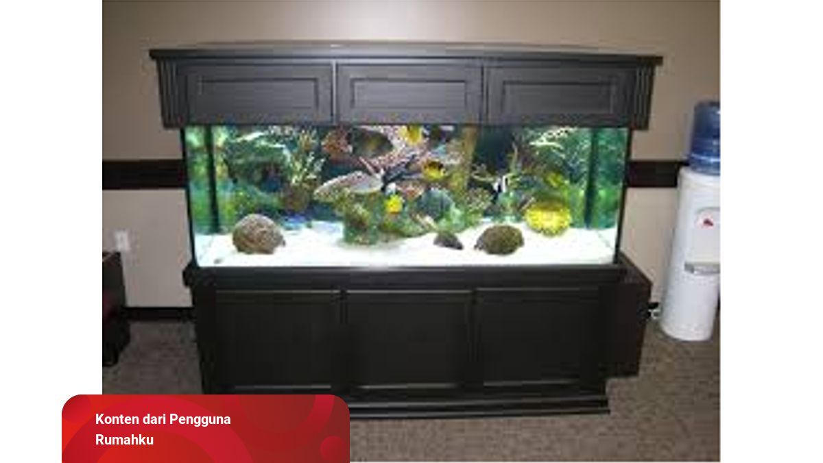 Detail Aquarium Rumah Minimalis Nomer 22