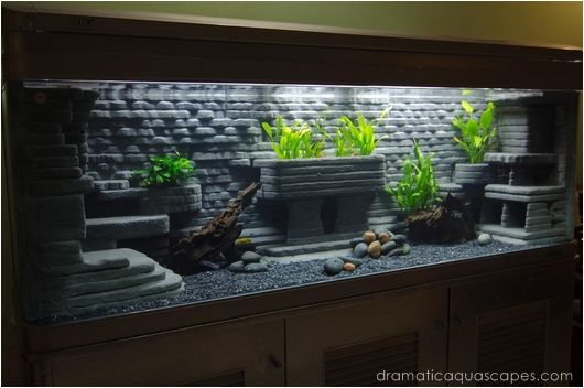 Detail Aquarium Rumah Minimalis Nomer 51