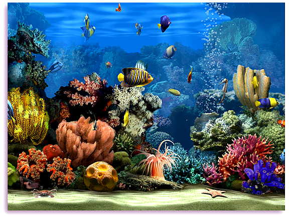 Detail Aquarium Screensaver Windows 7 Nomer 5