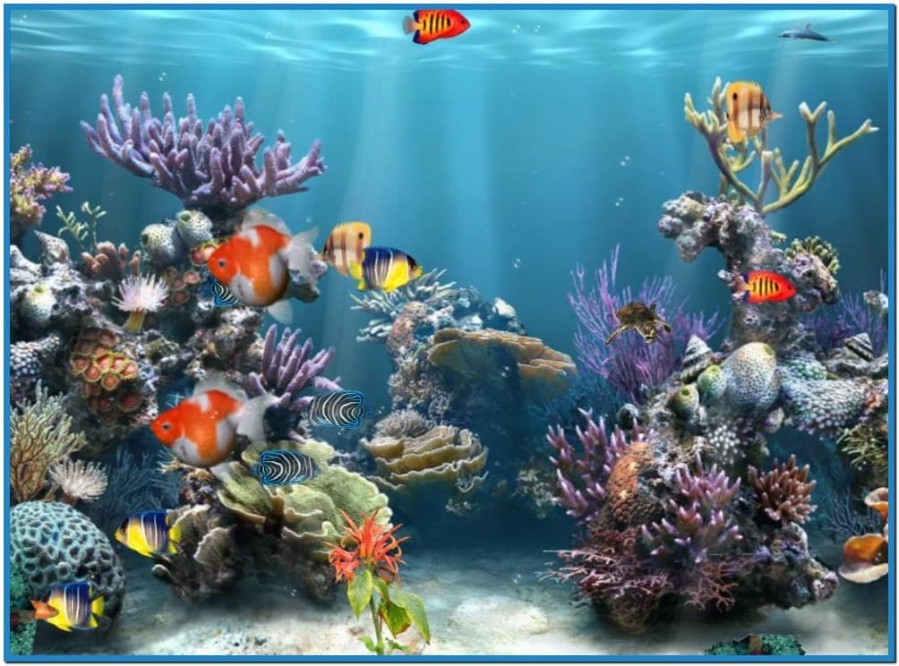 Detail Aquarium Screensaver Windows 7 Nomer 9