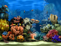 Detail Aquarium Screensaver Windows 7 Nomer 10