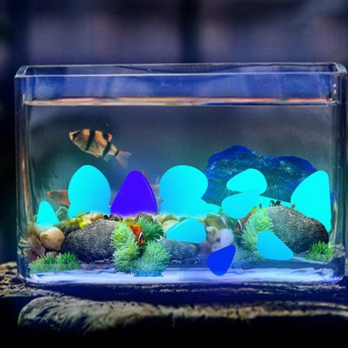 Detail Aquarium Simple Keren Nomer 14