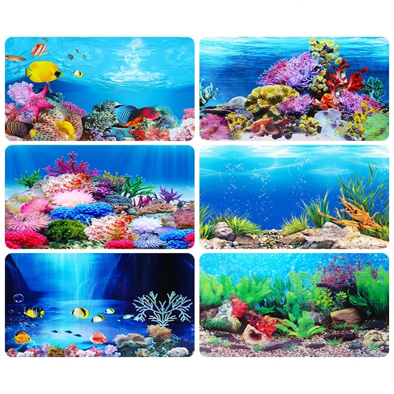 Detail Aquarium Sticker Background Nomer 23