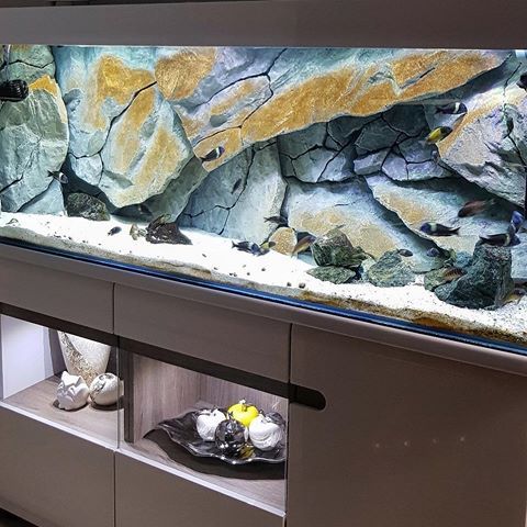 Detail Aquarium Tema Batu Karang Nomer 10