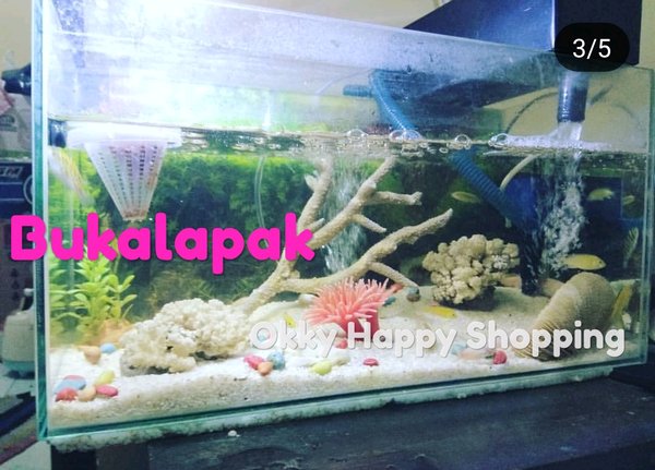 Detail Aquarium Tema Batu Karang Nomer 44