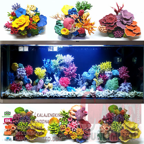 Detail Aquarium Tema Batu Karang Nomer 7