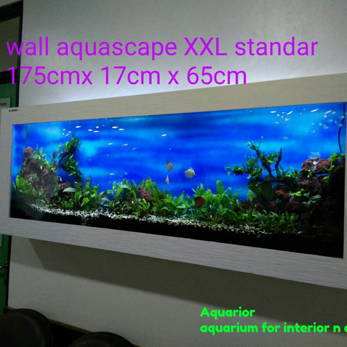 Detail Aquarium Tembok Nomer 16