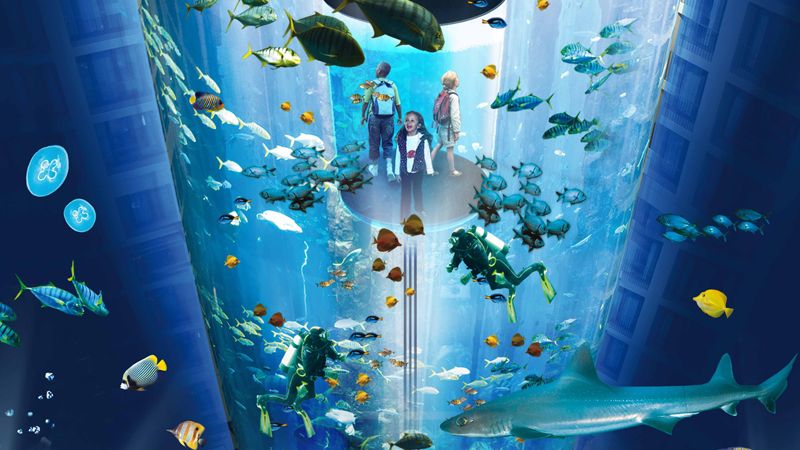 Detail Aquarium Terindah Nomer 8