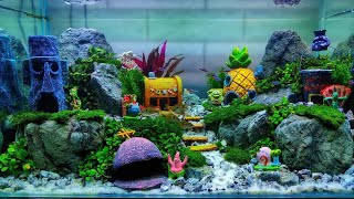 Detail Aquarium Terkeren Nomer 42