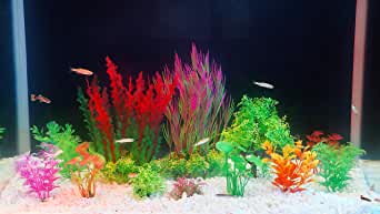 Detail Aquarium Terkeren Nomer 48