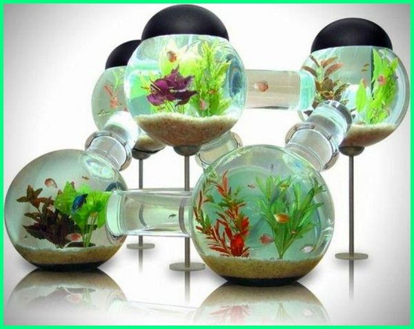 Detail Aquarium Terkeren Nomer 50