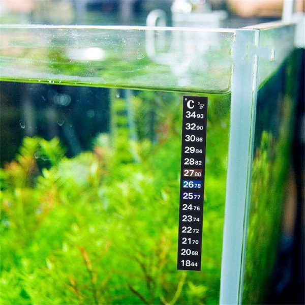 Detail Aquarium Thermometer Sticker Nomer 2