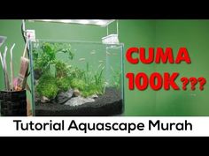 Detail Aquascape 2 Air Terjun Nomer 17