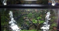 Detail Aquascape 2 Air Terjun Nomer 19