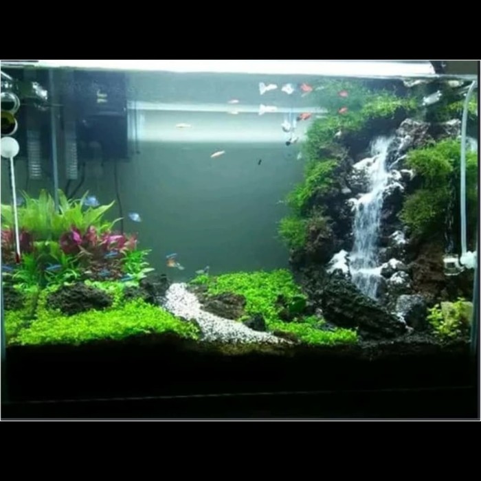 Detail Aquascape 2 Air Terjun Nomer 20