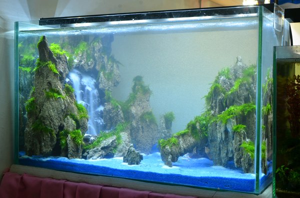 Detail Aquascape 2 Air Terjun Nomer 30