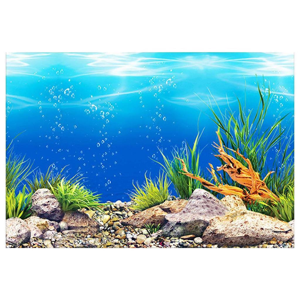 Detail Aquascape Background Nomer 20