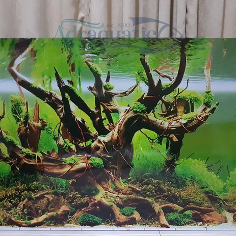 Detail Aquascape Background Hitam Nomer 16