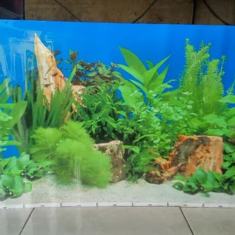 Detail Aquascape Background Hitam Nomer 57