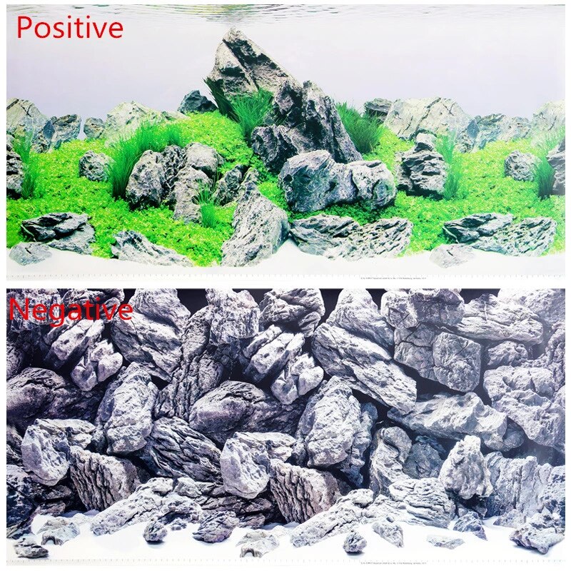Detail Aquascape Background Putih Nomer 35