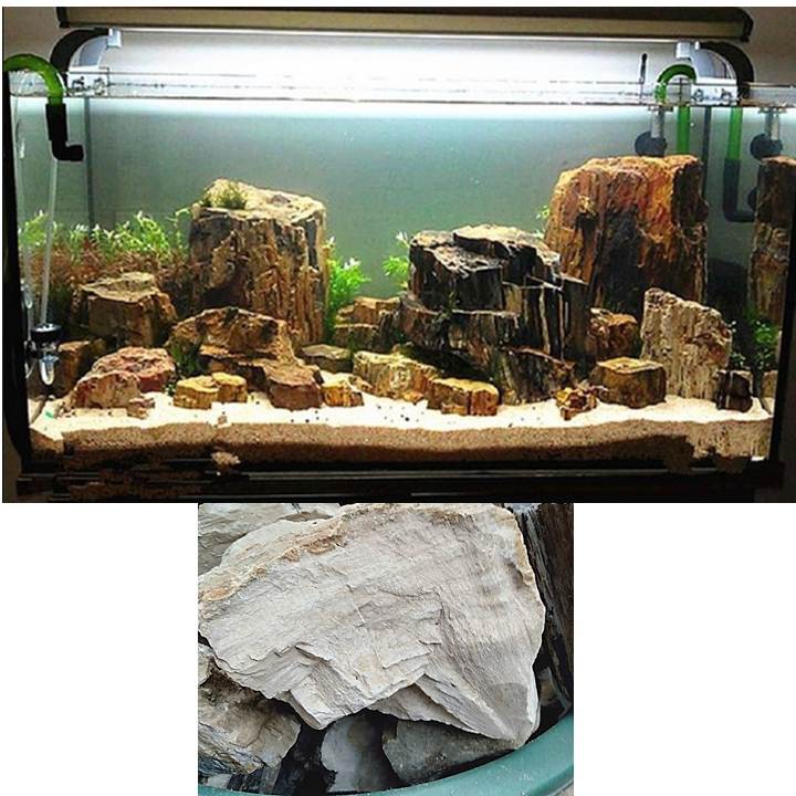 Detail Aquascape Batu Dan Kayu Nomer 13