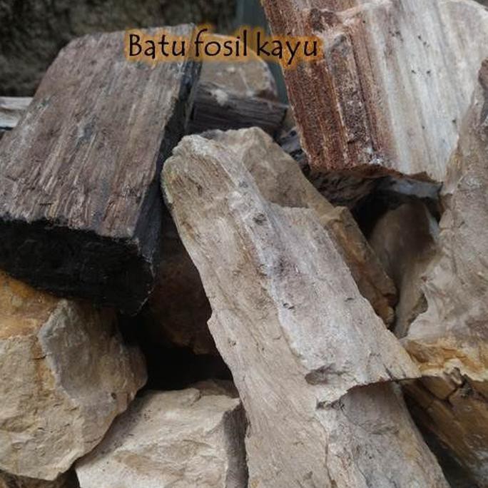 Detail Aquascape Batu Dan Kayu Nomer 41