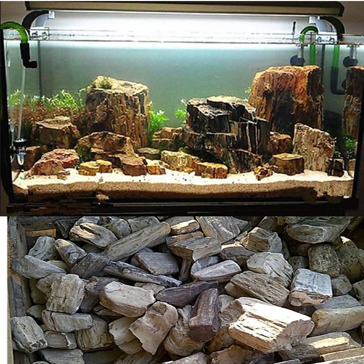 Detail Aquascape Batu Dan Kayu Nomer 44