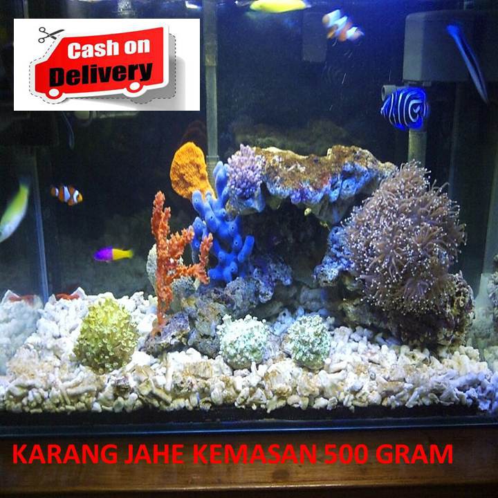 Detail Aquascape Batu Karang Laut Nomer 12