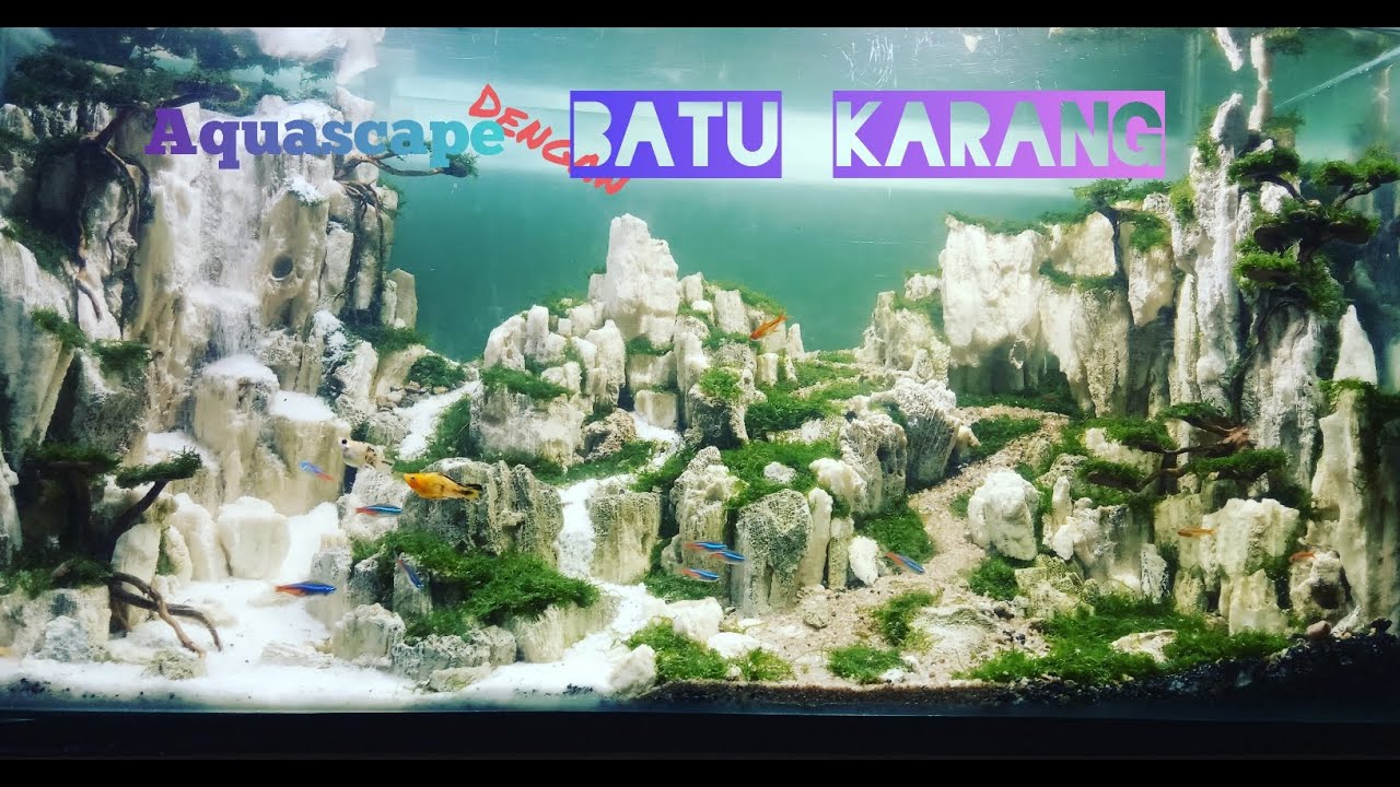 Detail Aquascape Batu Karang Laut Nomer 3